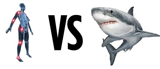 Colágeno vs Cartílago Tiburón Beneficios Cartílago Tiburón y de Colágeno Hidrolizado