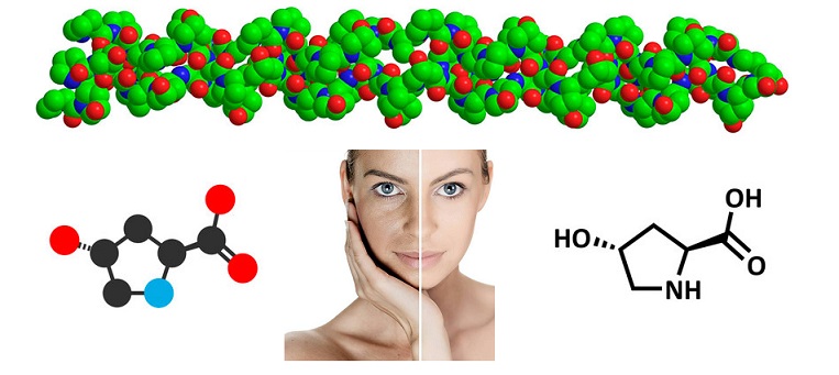 Características Colágeno