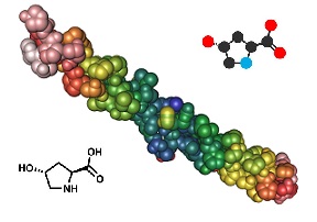 Fórmula del colágeno