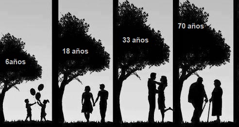 Colágeno, paso del tiempo