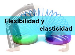 Flexibilidad