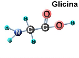 Glicina vs Colágeno