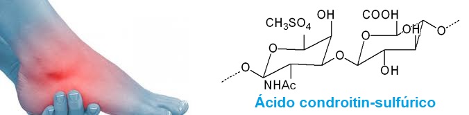 Ácido condroitin Más beneficios colágeno o cartílago de tiburón