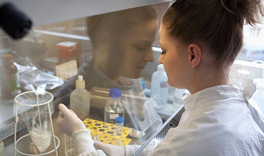 Estudios científicos cartílago de tiburón