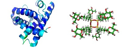 Composición Composición Ácido Hialurónico vs Colágeno
